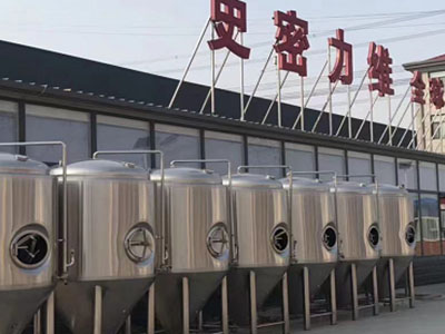 十堰精酿啤酒设备厂—如何判断精酿啤酒设备的密封件需要更换？